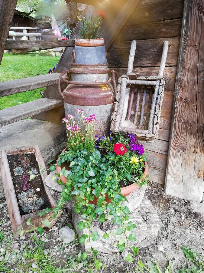 Bio-bauernhof Einberghof Pfarrwerfen