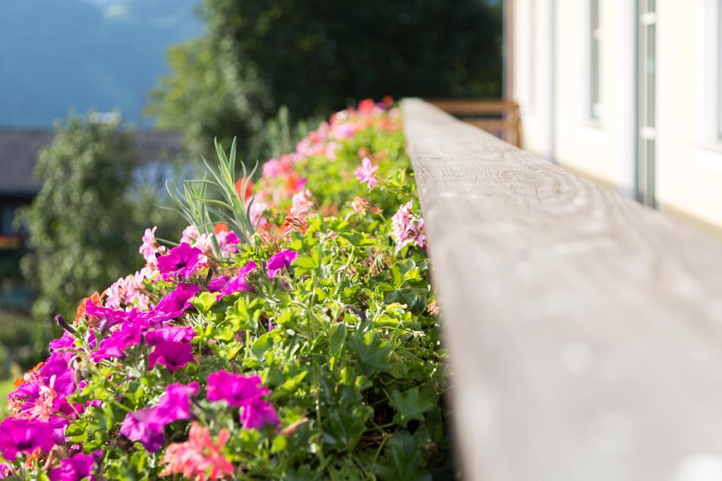 Bio-bauernhof Einberghof * Pfarrwerfen