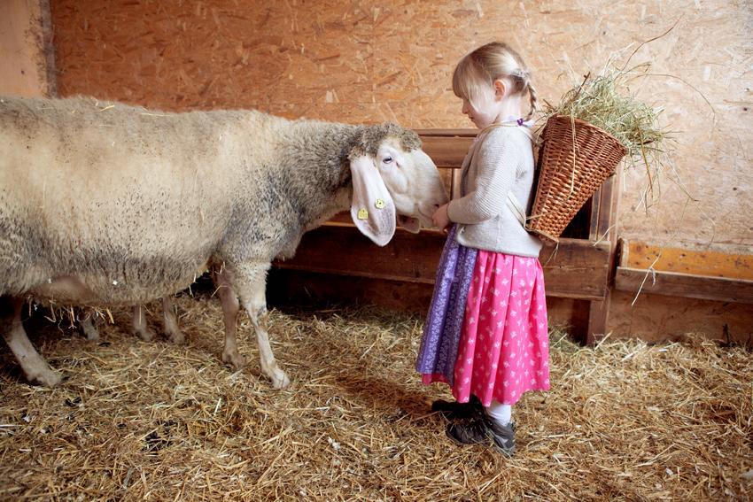 Appartamento Bio-bauernhof Einberghof Pfarrwerfen